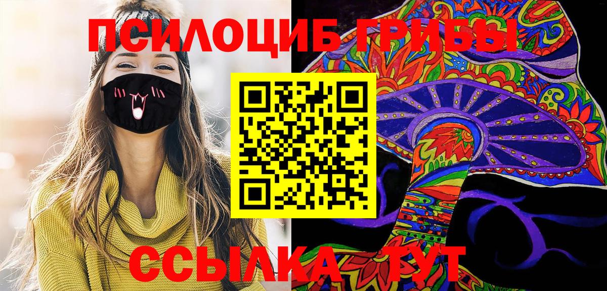 Галлюциногенные грибы прущие грибы  Галлюциногенные грибы мицелий  Кореновск  Вход с VPN 
